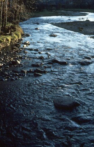 "winding river with trees on left side and sand bank on right side"