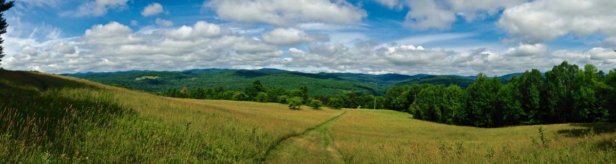 Fields and clouds in the summer