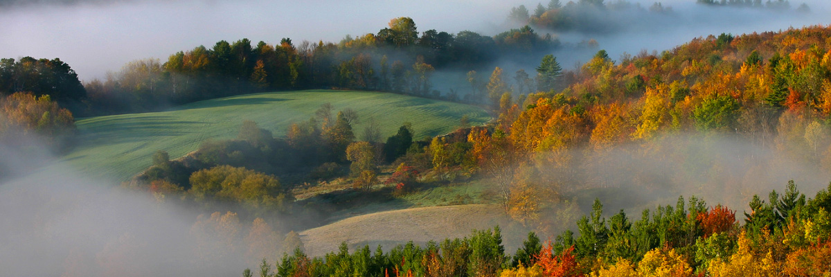 Meadows and fog in the fall